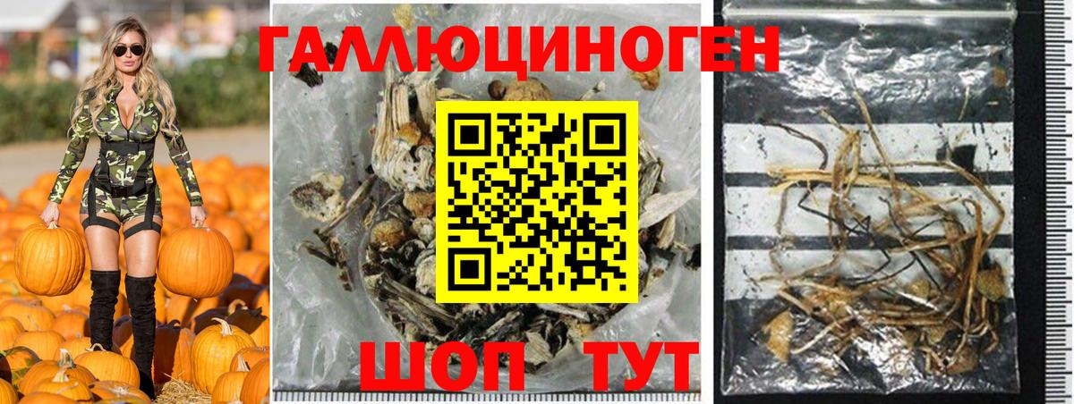 продажа наркотиков  Галлюциногенные грибы MAGIC MUSHROOMS  Вход с VPN  Коломна 