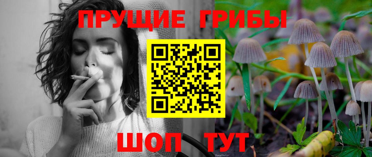 Галлюциногенные грибы Psilocybine cubensis Коломна